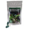 Бактерії TM Aquahim Spiritol AquaBacter Proffi, 10 капсул