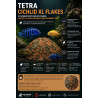 Tetra Cichlid XL Flakes, 100 грам