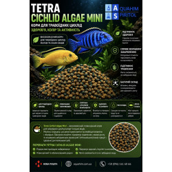 Tetra Cichlid Algae Mini.