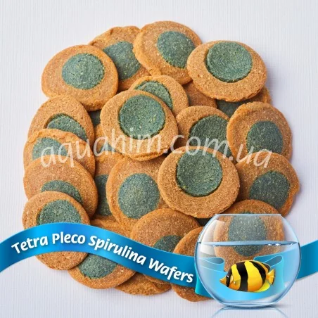 Tetra Pleco Spirulina Wafers.