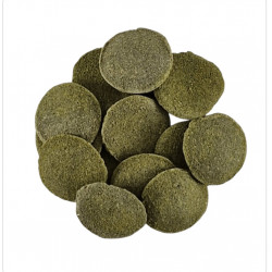 Tropical Green Algae Waffers, 100г