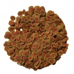 TetraPro Colour
