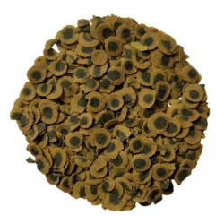 Tetra Pro Algae