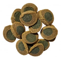 Tetra Pleco Spirulina Wafers.