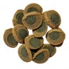 Tetra Pleco Spirulina Wafers.